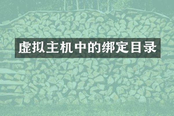 虚拟主机中的绑定目录