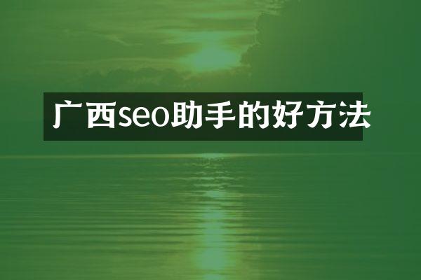广西seo助手的好方法