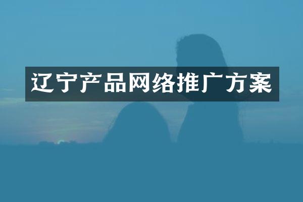 辽宁产品网络推广方案