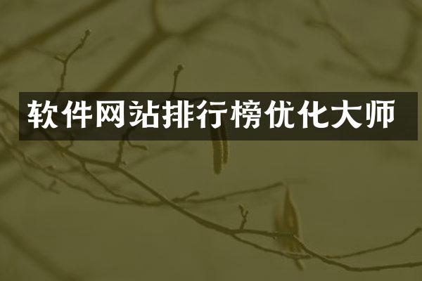 软件网站排行榜优化大师