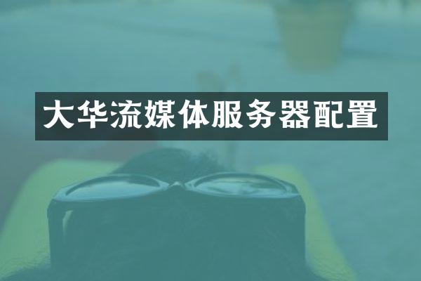 大华流媒体服务器配置