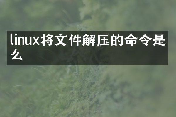 linux将文件解压的命令是什么