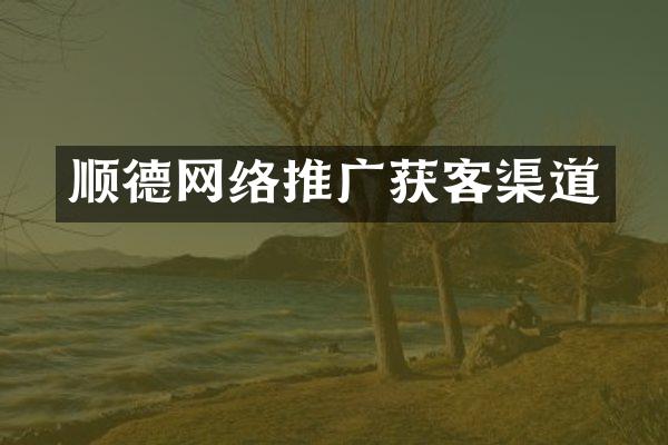 顺德网络推广获客渠道
