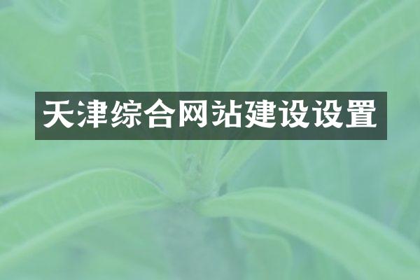 天津综合网站建设设置