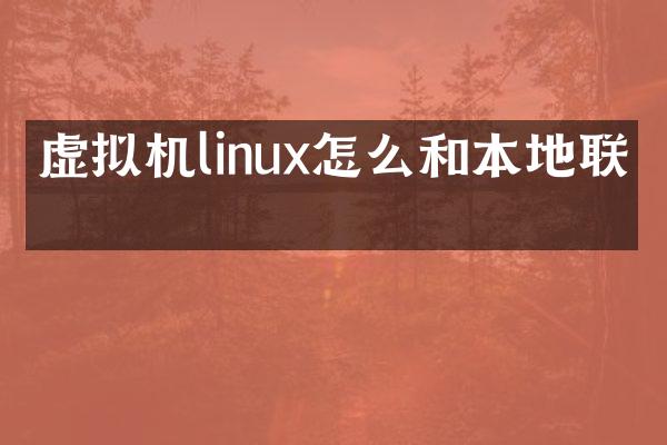 虚拟机linux怎么和本地联网