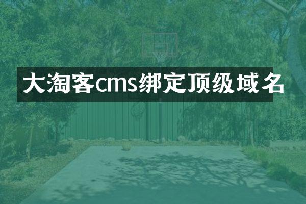 大淘客cms绑定顶级域名