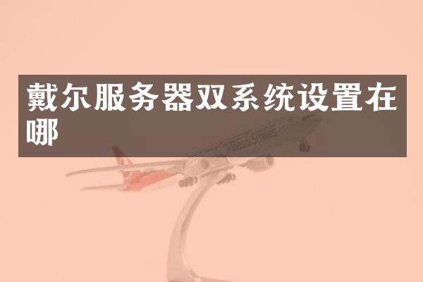 戴尔服务器双系统设置在哪