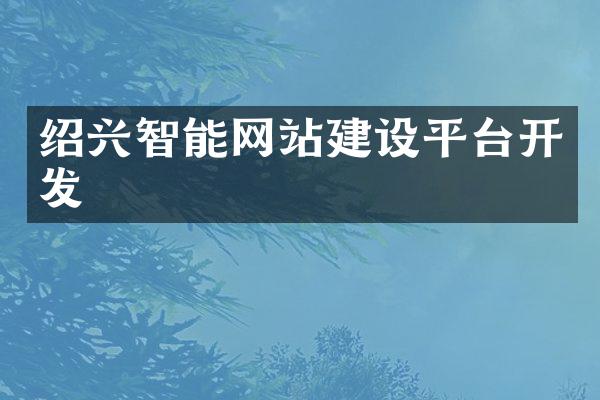 绍兴智能网站建设平台开发