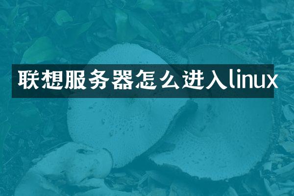 联想服务器怎么进入linux