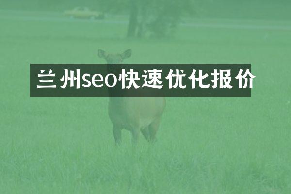 兰州seo快速优化报价