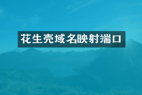 花生壳域名映射端口