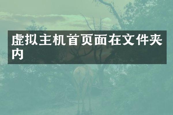 虚拟主机首页面在文件夹内
