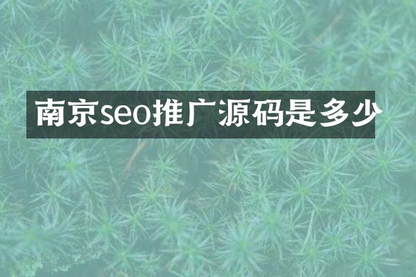 南京seo推广源码是多少