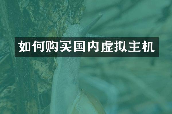 如何购买国内虚拟主机