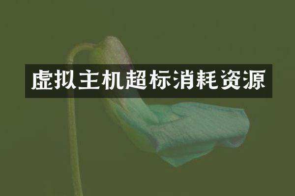 虚拟主机超标消耗资源