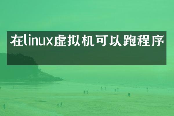 在linux虚拟机可以跑程序吗