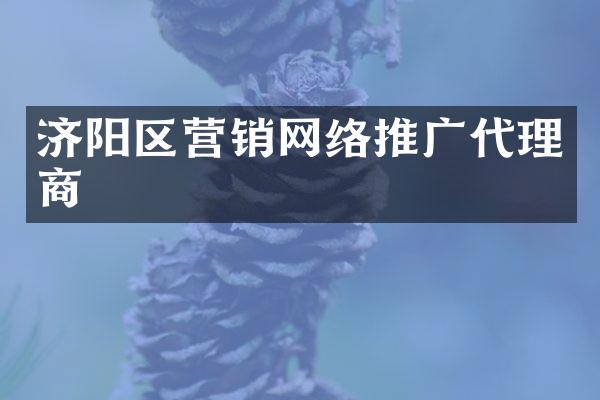济阳区营销网络推广代理商