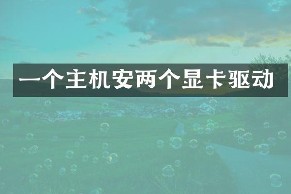 一个主机安两个显卡驱动