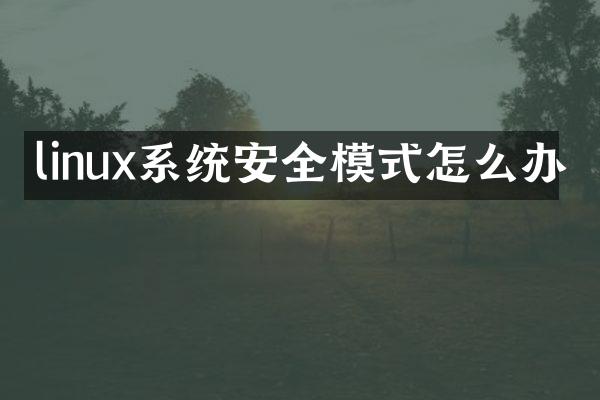 linux系统安全模式怎么办