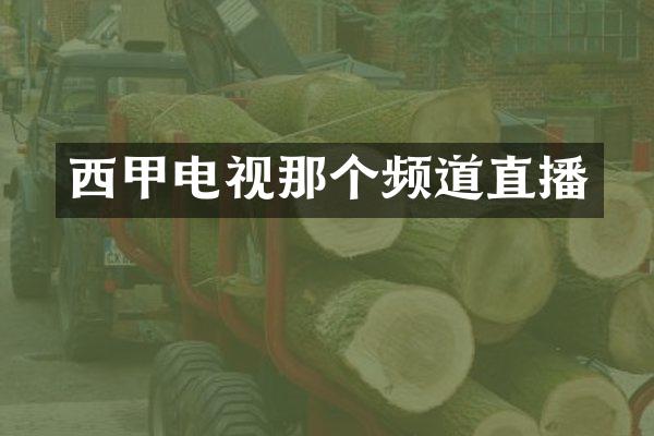 西甲电视那个频道直播
