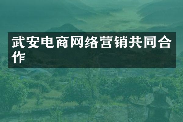 武安电商网络营销共同合作