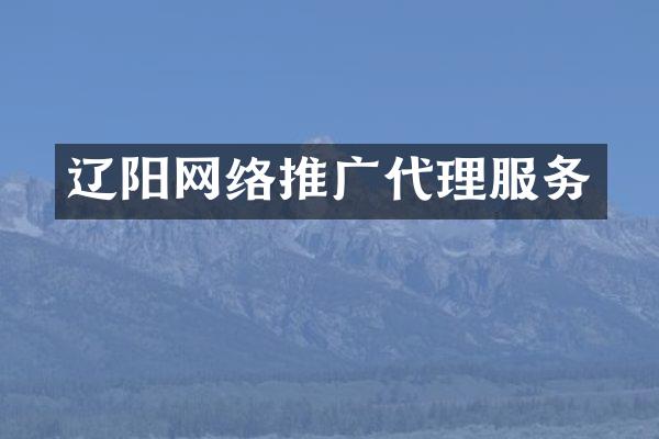 辽阳网络推广代理服务
