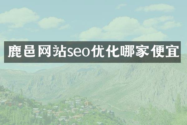 鹿邑网站seo优化哪家便宜