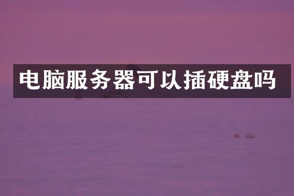 电脑服务器可以插硬盘吗
