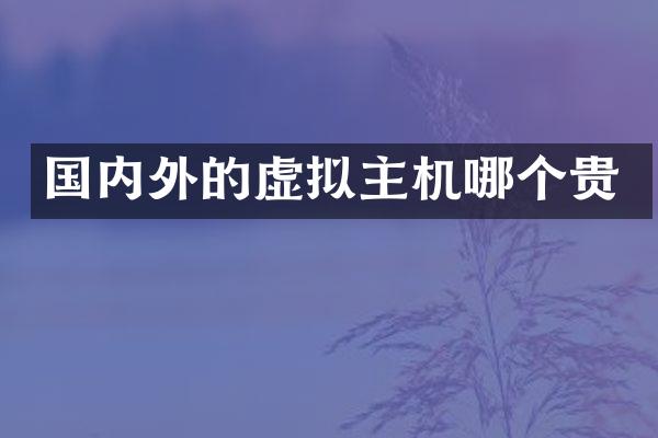 国内外的虚拟主机哪个贵