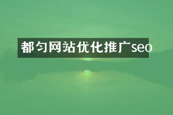 都匀网站优化推广seo