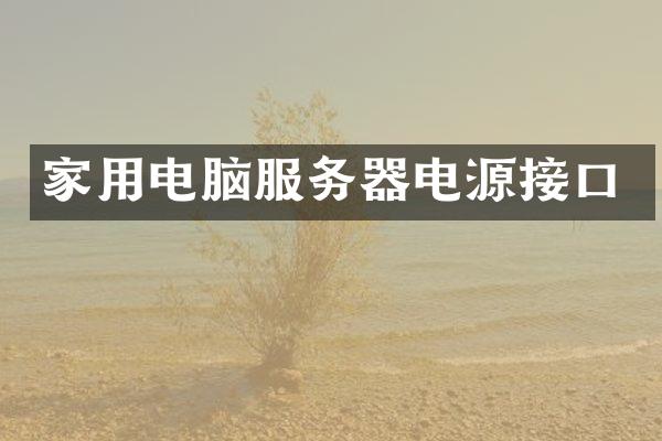 家用电脑服务器电源接口