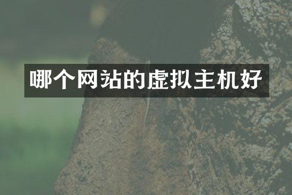 哪个网站的虚拟主机好