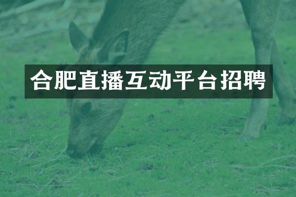 合肥直播互动平台招聘