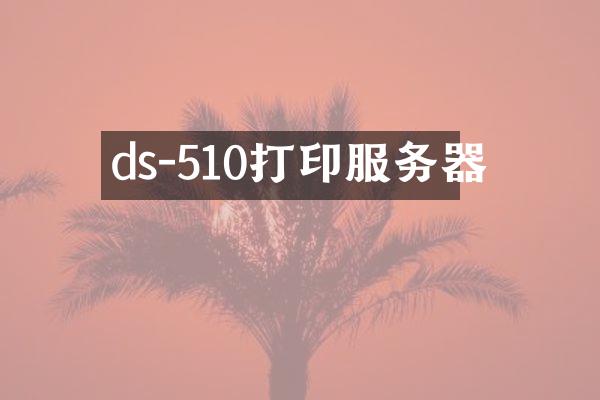 ds-510打印服务器