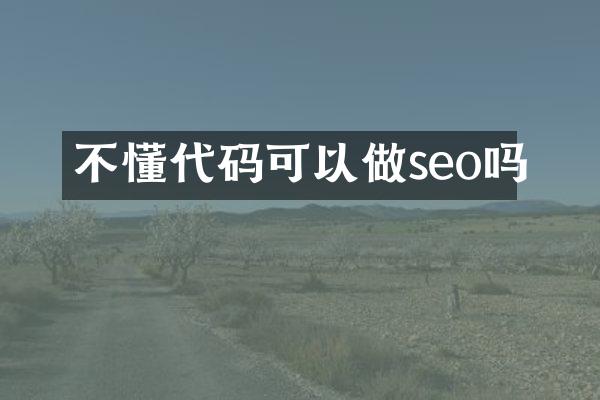 不懂代码可以做seo吗