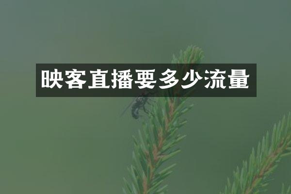 映客直播要多少流量