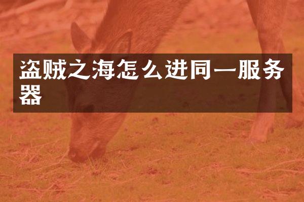 盗贼之海怎么进同一服务器