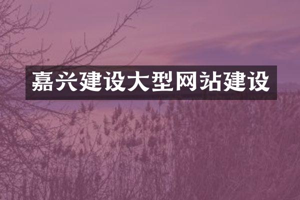 嘉兴建设大型网站建设