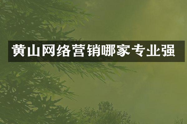 黄山网络营销哪家专业强