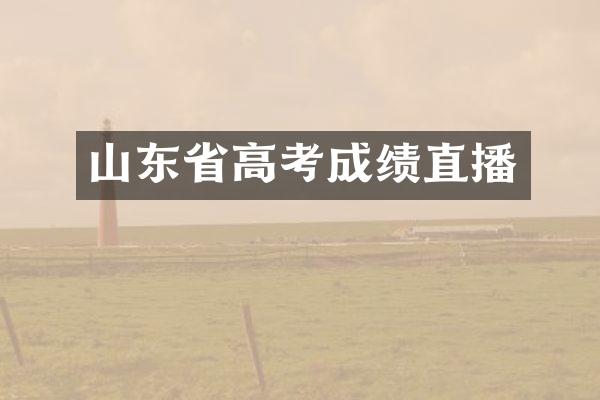 山东省高考成绩直播