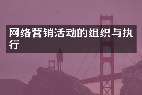 网络营销活动的组织与执行