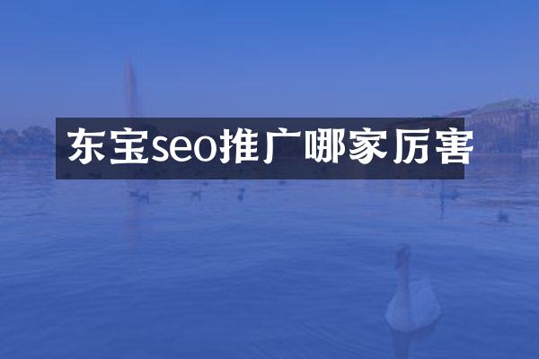 东宝seo推广哪家厉害