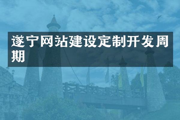 遂宁网站建设定制开发周期