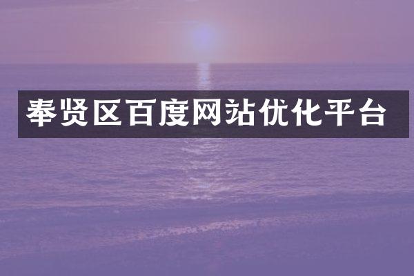 奉贤区百度网站优化平台