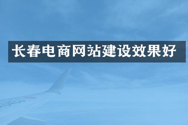 长春电商网站建设效果好