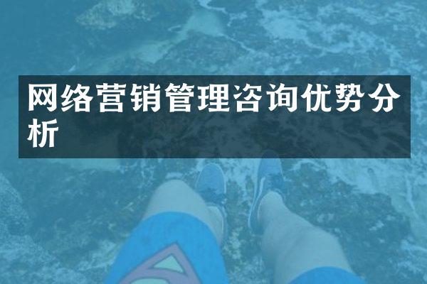 网络营销管理咨询优势分析
