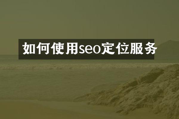 如何使用seo定位服务