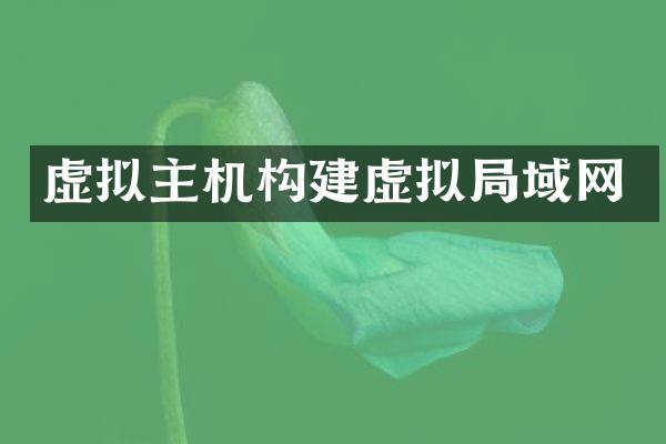 虚拟主机构建虚拟局域网