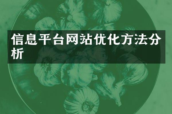 信息平台网站优化方法分析