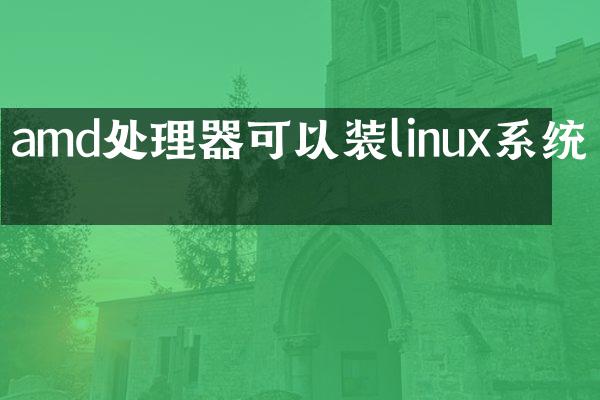 amd处理器可以装linux系统吗